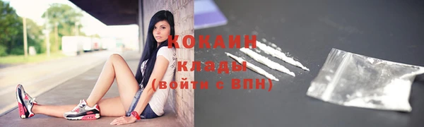 крисы Сатка