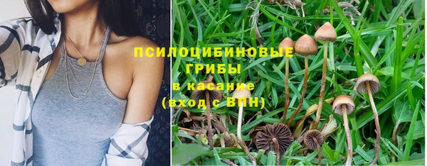 стаф Абдулино
