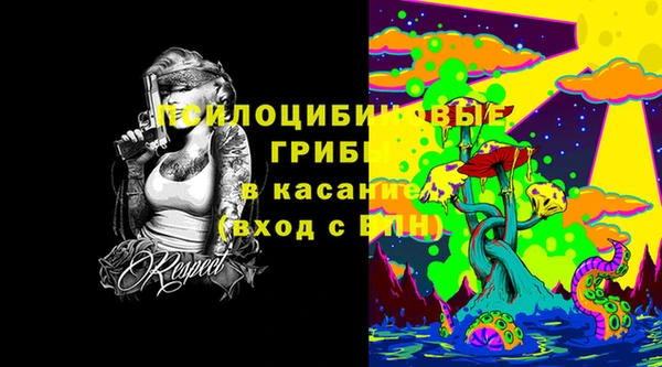 прущие грибы Абинск
