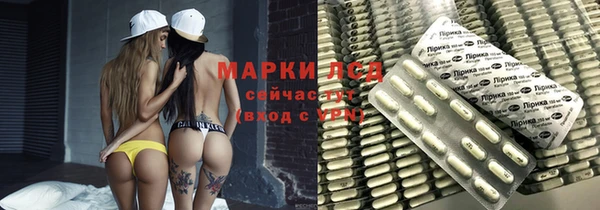 крисы Сатка