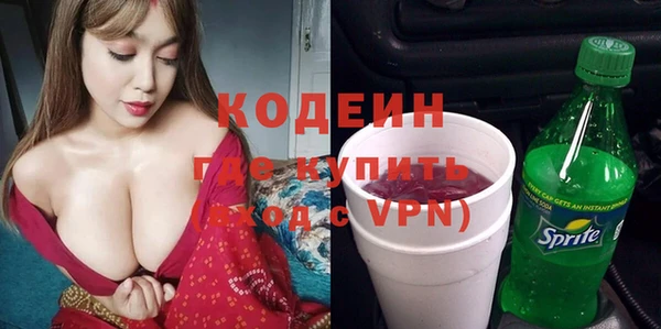 прущие грибы Абинск
