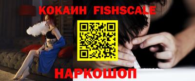 скорость Новозыбков