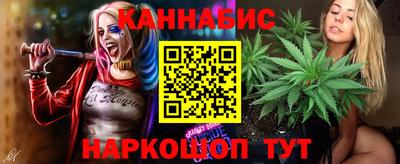 скорость Новозыбков