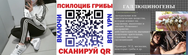 Галлюциногенные грибы мицелий  Алапаевск 