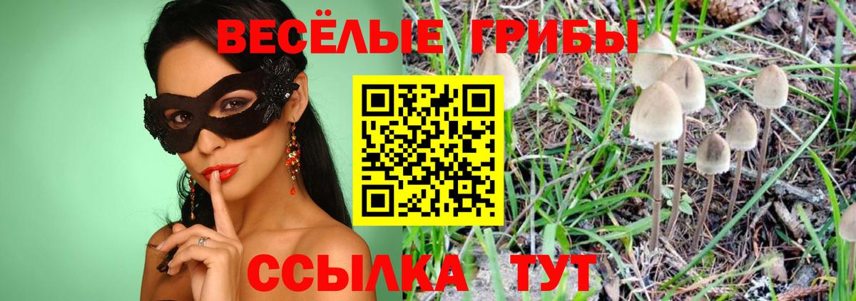 Псилоцибиновые грибы ЛСД Алапаевск