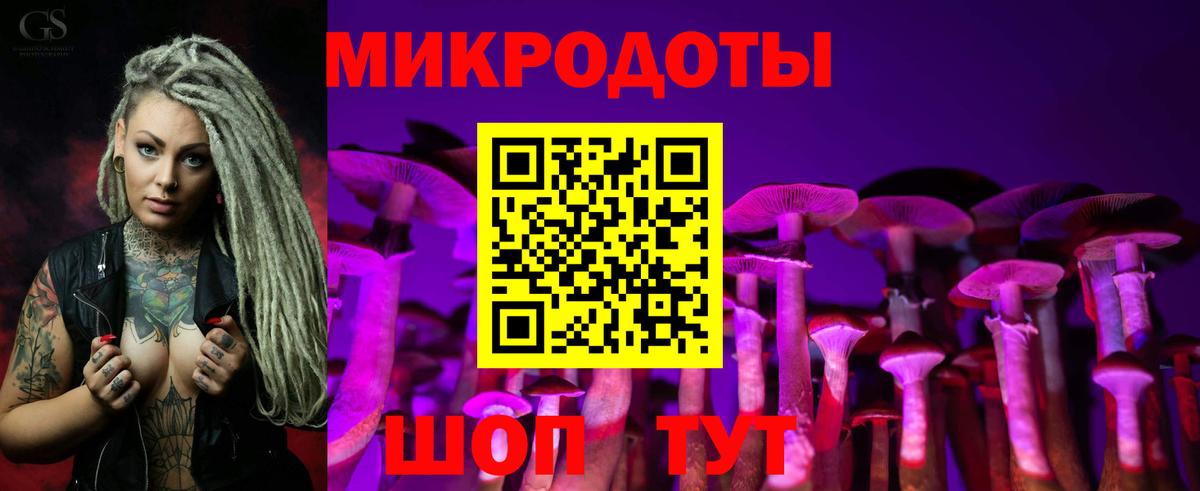 Алапаевск  Псилоцибиновые грибы Magic Shrooms  Псилоцибиновые грибы GOLDEN TEACHER  магазин продажи   Вход с VPN 